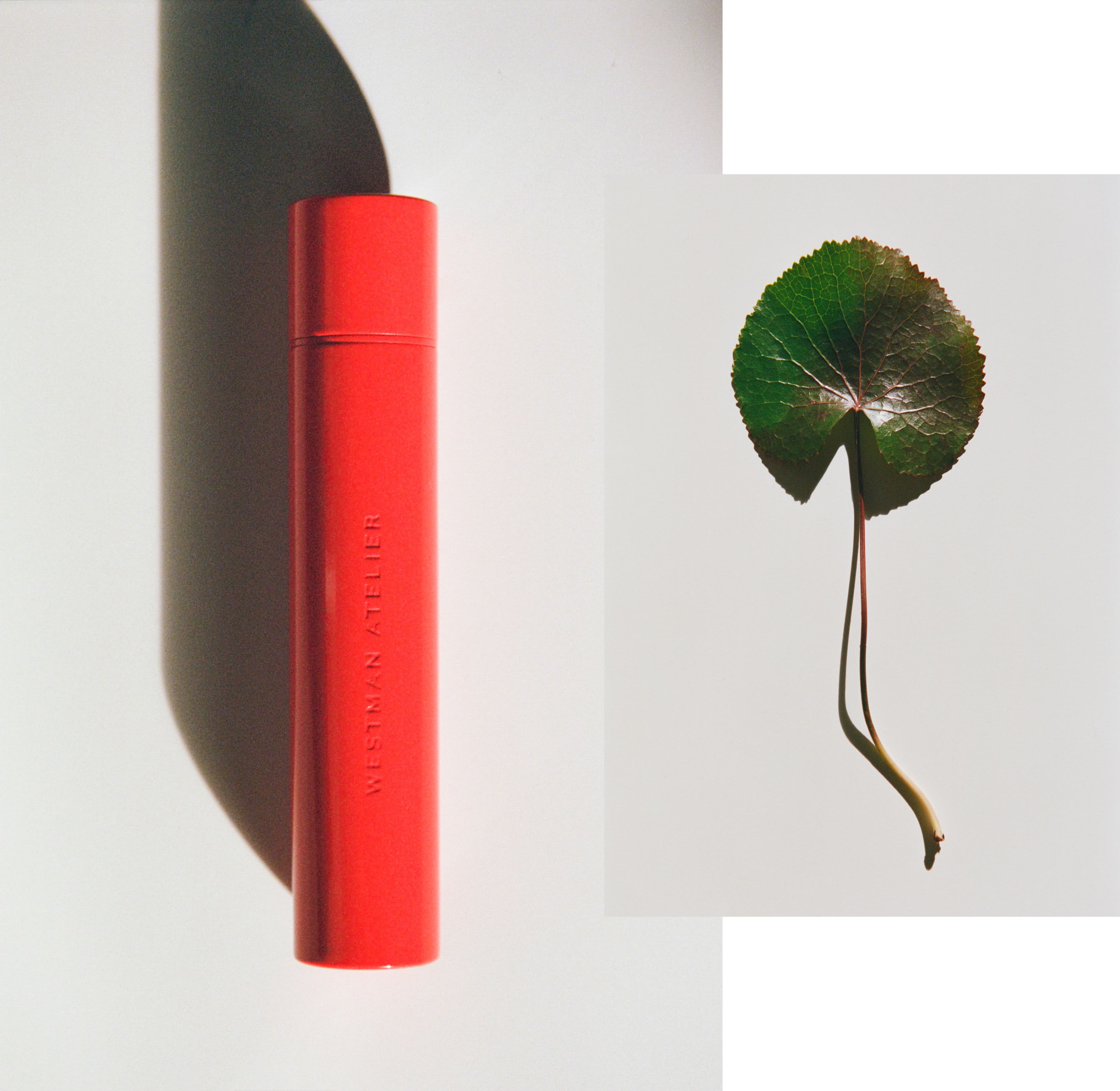 Sustainable Beauty