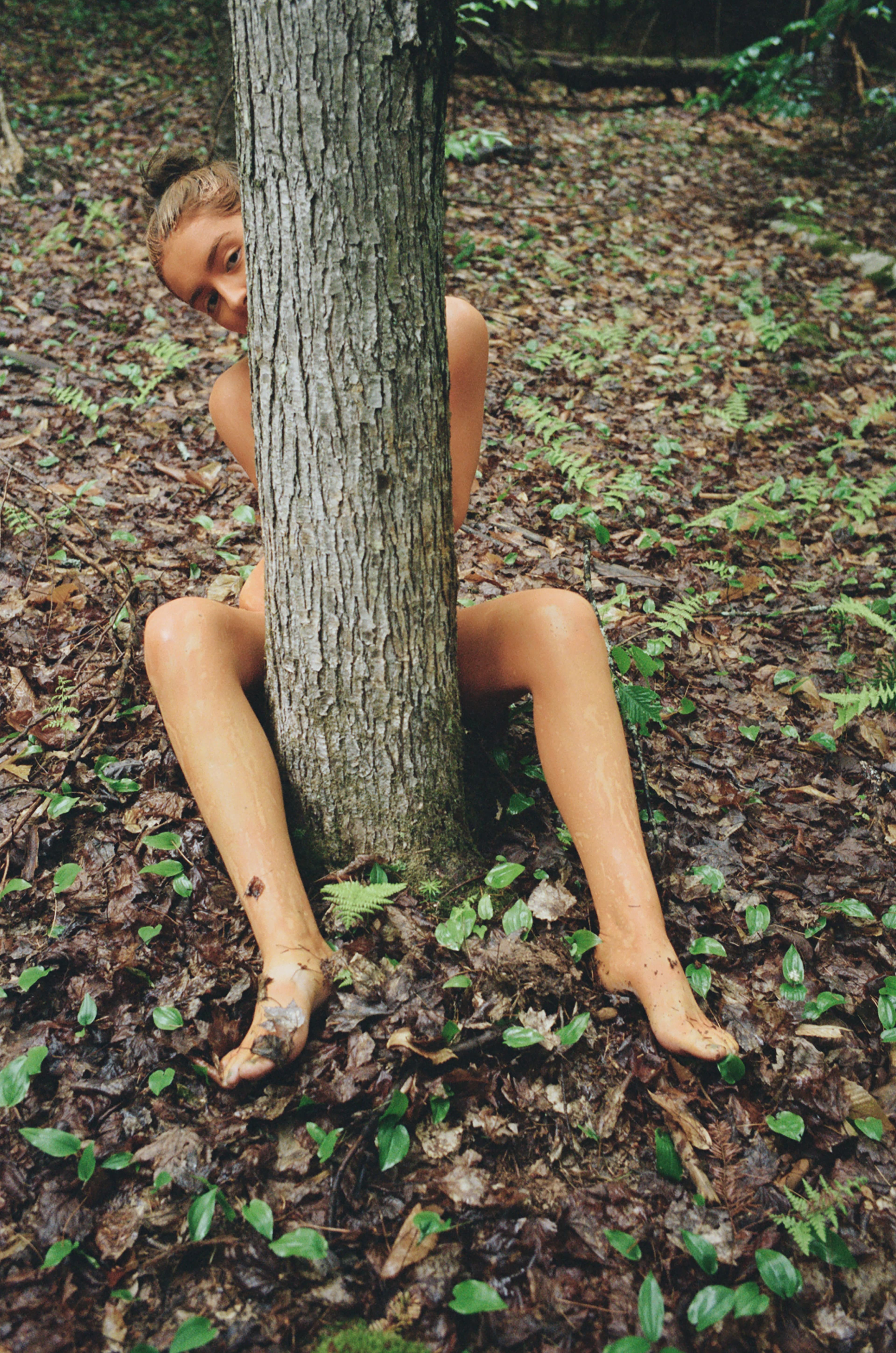 Sylvan