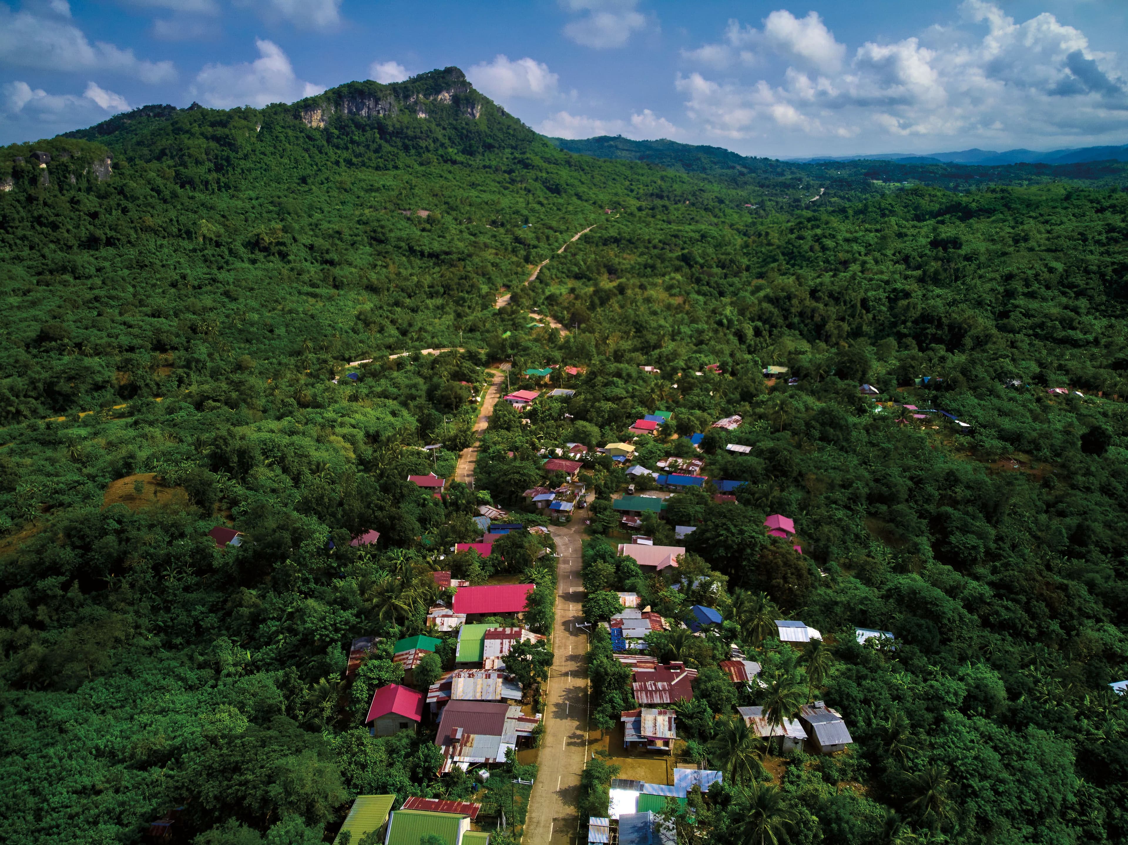 The Covid-19 Resistance