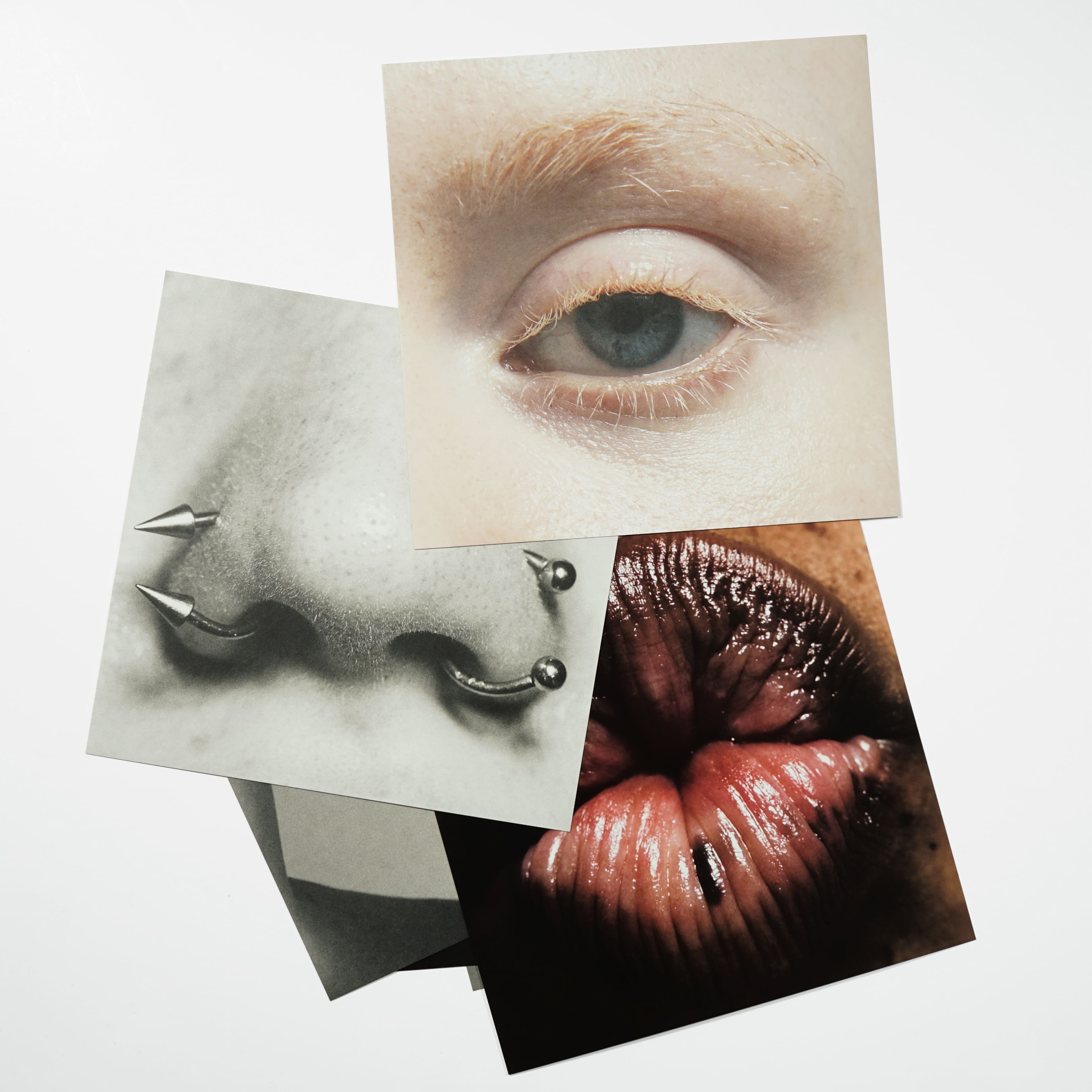 Max Papendieck’s Body of Work